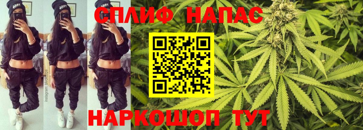 МЕФ Дагестанские Огни